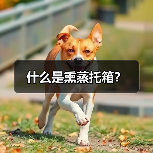 什么是熏蒸托箱?(图2) 什么是熏蒸托箱?(图2)