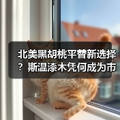 北美黑胡桃平替新选择?斯温漆木凭何成为市场新宠(图4) 北美黑胡桃平替新选择?斯温漆木凭何成为市场新宠(图4)