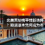 北美黑胡桃平替新选择?斯温漆木凭何成为市场新宠(图1) 北美黑胡桃平替新选择?斯温漆木凭何成为市场新宠(图1)