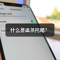 什么是熏蒸托箱?(图4) 什么是熏蒸托箱?(图4)