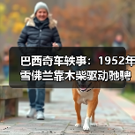 巴西奇车轶事:1952年雪佛兰靠木柴驱动驰骋半世纪(图4) 巴西奇车轶事:1952年雪佛兰靠木柴驱动驰骋半世纪(图4)