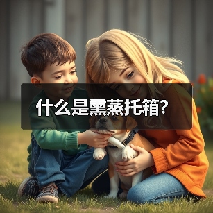 什么是熏蒸托箱?(图1) 什么是熏蒸托箱?(图1)