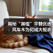 揭秘“黑檀”平替优选：风车木为何成大板茶桌高端材质新宠？（图3）
