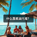 什么是熏蒸托箱？（图4）