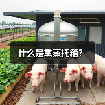 什么是熏蒸托箱？（图2）
