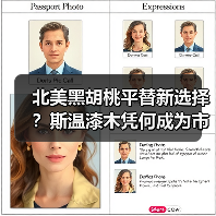 北美黑胡桃平替新选择?斯温漆木凭何成为市场新宠(图4) 北美黑胡桃平替新选择?斯温漆木凭何成为市场新宠(图4)