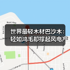 世界最轻木材巴沙木:轻如鸿毛却撑起风电产业半边天(图2) 世界最轻木材巴沙木:轻如鸿毛却撑起风电产业半边天(图2)