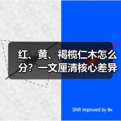 红、黄、褐榄仁木怎么分?一文厘清核心差异与应用边界(图1) 红、黄、褐榄仁木怎么分?一文厘清核心差异与应用边界(图1)