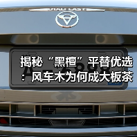 揭秘“黑檀”平替优选：风车木为何成大板茶桌高端材质新宠？（图2）