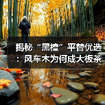 揭秘“黑檀”平替优选：风车木为何成大板茶桌高端材质新宠？（图3）