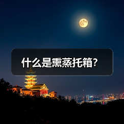 什么是熏蒸托箱?(图4) 什么是熏蒸托箱?(图4)