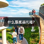 什么是熏蒸托箱?(图1) 什么是熏蒸托箱?(图1)