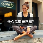 什么是熏蒸托箱?(图3) 什么是熏蒸托箱?(图3)