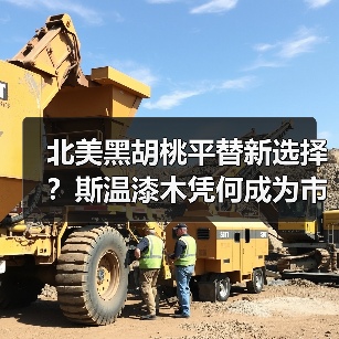 北美黑胡桃平替新选择?斯温漆木凭何成为市场新宠(图1) 北美黑胡桃平替新选择?斯温漆木凭何成为市场新宠(图1)