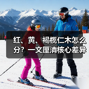 红、黄、褐榄仁木怎么分?一文厘清核心差异与应用边界(图4) 红、黄、褐榄仁木怎么分?一文厘清核心差异与应用边界(图4)