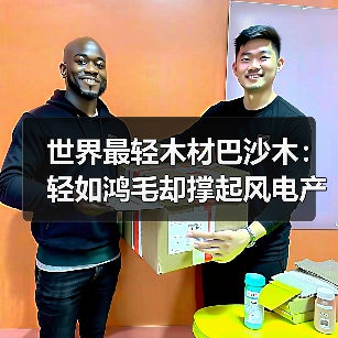 世界最轻木材巴沙木:轻如鸿毛却撑起风电产业半边天(图3) 世界最轻木材巴沙木:轻如鸿毛却撑起风电产业半边天(图3)