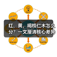 红、黄、褐榄仁木怎么分?一文厘清核心差异与应用边界(图1) 红、黄、褐榄仁木怎么分?一文厘清核心差异与应用边界(图1)
