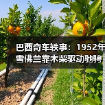 巴西奇车轶事:1952年雪佛兰靠木柴驱动驰骋半世纪(图3) 巴西奇车轶事:1952年雪佛兰靠木柴驱动驰骋半世纪(图3)