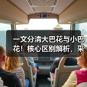 一文分清大巴花与小巴花!核心区别解析,采购避坑必看(图4) 一文分清大巴花与小巴花!核心区别解析,采购避坑必看(图4)