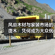 风靡木材与家装市场的唐木:凭何成为大众优选材种?(图4) 风靡木材与家装市场的唐木:凭何成为大众优选材种?(图4)