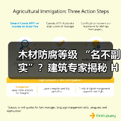 木材防腐等级 “名不副实”?建筑专家揭秘 H3 失效背后的设计危机(图4) 木材防腐等级 “名不副实”?建筑专家揭秘 H3 失效背后的设计危机(图4)