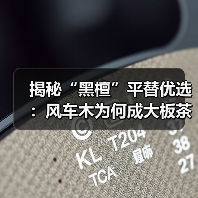 揭秘“黑檀”平替优选:风车木为何成大板茶桌高端材质新宠?(图2) 揭秘“黑檀”平替优选:风车木为何成大板茶桌高端材质新宠?(图2)