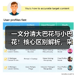 一文分清大巴花与小巴花!核心区别解析,采购避坑必看(图3) 一文分清大巴花与小巴花!核心区别解析,采购避坑必看(图3)