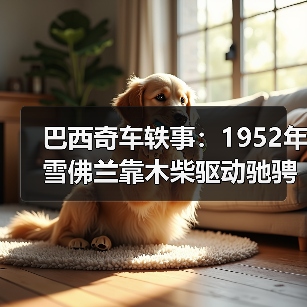 巴西奇车轶事：1952年雪佛兰靠木柴驱动驰骋半世纪（图4）