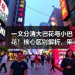 一文分清大巴花与小巴花!核心区别解析,采购避坑必看(图4) 一文分清大巴花与小巴花!核心区别解析,采购避坑必看(图4)