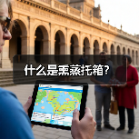 什么是熏蒸托箱？（图2）