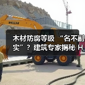 木材防腐等级 “名不副实”?建筑专家揭秘 H3 失效背后的设计危机(图4) 木材防腐等级 “名不副实”?建筑专家揭秘 H3 失效背后的设计危机(图4)