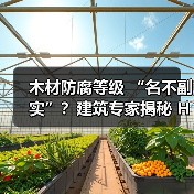 木材防腐等级 “名不副实”?建筑专家揭秘 H3 失效背后的设计危机(图3) 木材防腐等级 “名不副实”?建筑专家揭秘 H3 失效背后的设计危机(图3)