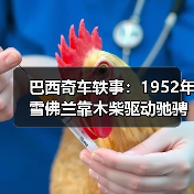 巴西奇车轶事:1952年雪佛兰靠木柴驱动驰骋半世纪(图3) 巴西奇车轶事:1952年雪佛兰靠木柴驱动驰骋半世纪(图3)