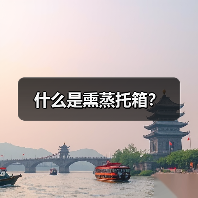什么是熏蒸托箱？（图2）