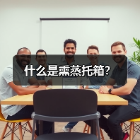 什么是熏蒸托箱？（图4）