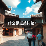 什么是熏蒸托箱？（图1）