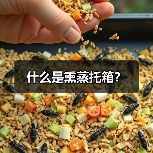 什么是熏蒸托箱？（图3）