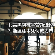 北美黑胡桃平替新选择?斯温漆木凭何成为市场新宠(图1) 北美黑胡桃平替新选择?斯温漆木凭何成为市场新宠(图1)