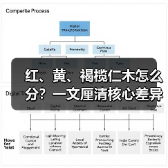 红、黄、褐榄仁木怎么分?一文厘清核心差异与应用边界(图2) 红、黄、褐榄仁木怎么分?一文厘清核心差异与应用边界(图2)