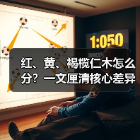 红、黄、褐榄仁木怎么分?一文厘清核心差异与应用边界(图1) 红、黄、褐榄仁木怎么分?一文厘清核心差异与应用边界(图1)