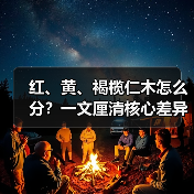 红、黄、褐榄仁木怎么分?一文厘清核心差异与应用边界(图3) 红、黄、褐榄仁木怎么分?一文厘清核心差异与应用边界(图3)