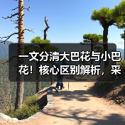 一文分清大巴花与小巴花!核心区别解析,采购避坑必看(图1) 一文分清大巴花与小巴花!核心区别解析,采购避坑必看(图1)