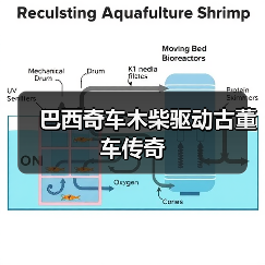 巴西奇车木柴驱动古董车传奇(图2) 巴西奇车木柴驱动古董车传奇(图2)