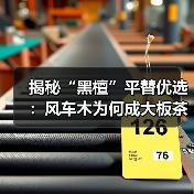 揭秘“黑檀”平替优选:风车木为何成大板茶桌高端材质新宠?(图3) 揭秘“黑檀”平替优选:风车木为何成大板茶桌高端材质新宠?(图3)