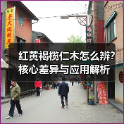 红黄褐榄仁木怎么辨?核心差异与应用解析(图3) 红黄褐榄仁木怎么辨?核心差异与应用解析(图3)