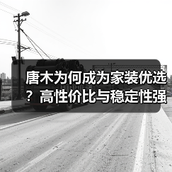 唐木为何成为家装优选?高性价比与稳定性强(图4) 唐木为何成为家装优选?高性价比与稳定性强(图4)