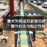 唐木为何成为家装优选?高性价比与稳定性强(图3) 唐木为何成为家装优选?高性价比与稳定性强(图3)