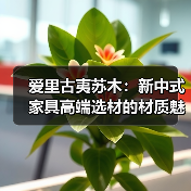 爱里古夷苏木:新中式家具高端选材的材质魅力(图2) 爱里古夷苏木:新中式家具高端选材的材质魅力(图2)