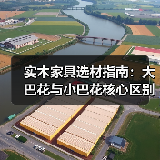 实木家具选材指南：大巴花与小巴花核心区别解析（图1）