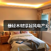 最轻木材撑起风电产业（图1）